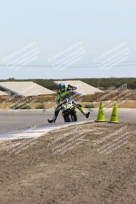 media/Aug-03-2025-TrackDaz (Sun) [[bf4a71acf9]]/B Group/1220pm (Wheelie Bump)/